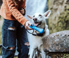 covid 19 contagion img card 1